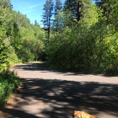 Review photo of Spool Cart Campground by James W., June 1, 2021