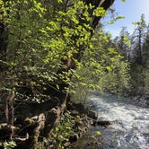 Review photo of Madrone Campground by Justin W., May 4, 2023