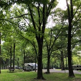 Review photo of Giant City State Park Campground by Wendy C., October 9, 2018