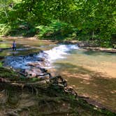 Review photo of David Crockett State Park Campground by Wendy C., October 9, 2018