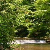 Review photo of David Crockett State Park Campground by Wendy C., October 9, 2018