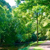 Review photo of David Crockett State Park Campground by Wendy C., October 9, 2018