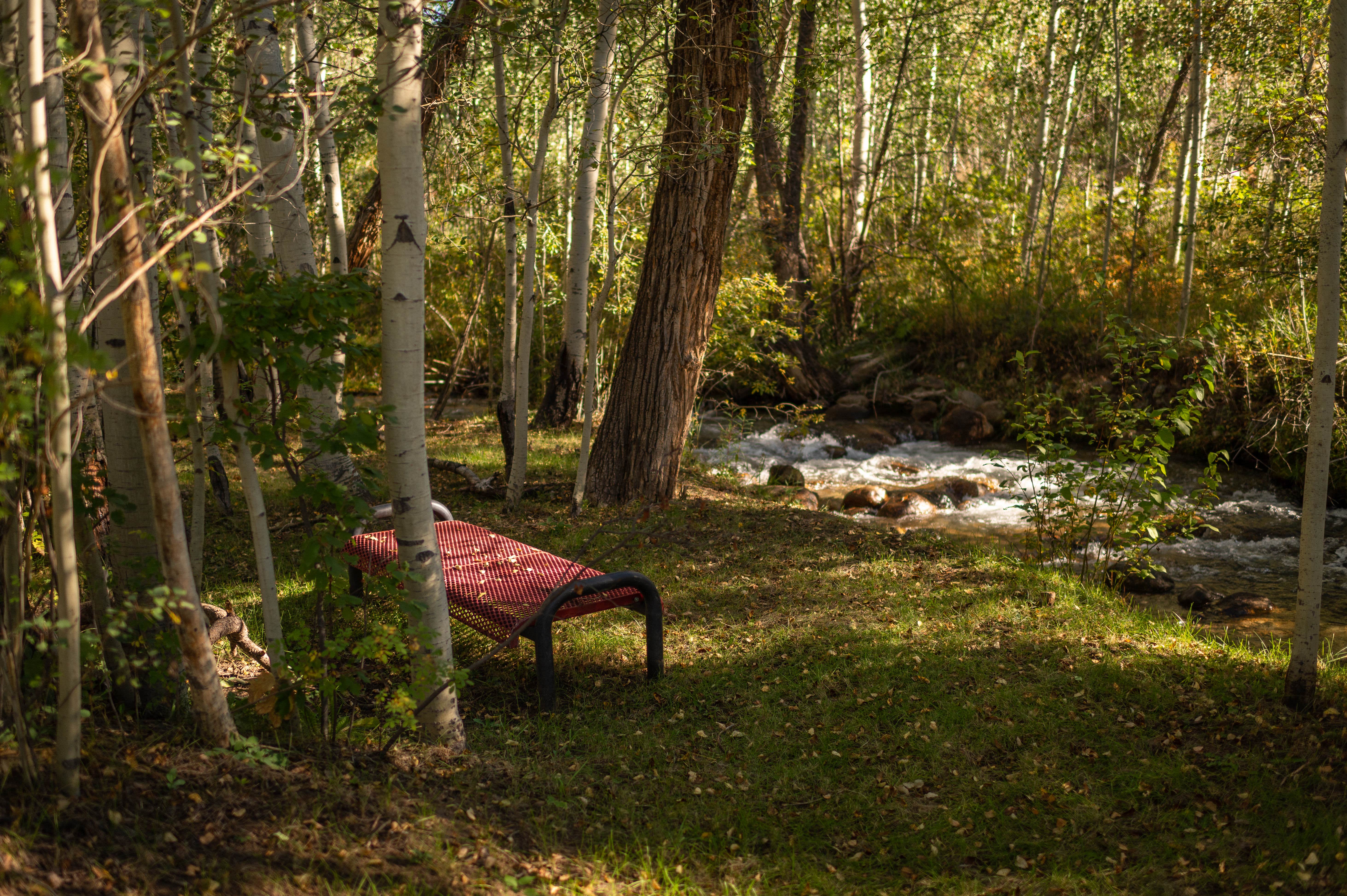 Camping near A-Lodge Salida: Creekside Chalets & Cabins, Poncha Springs, Colorado