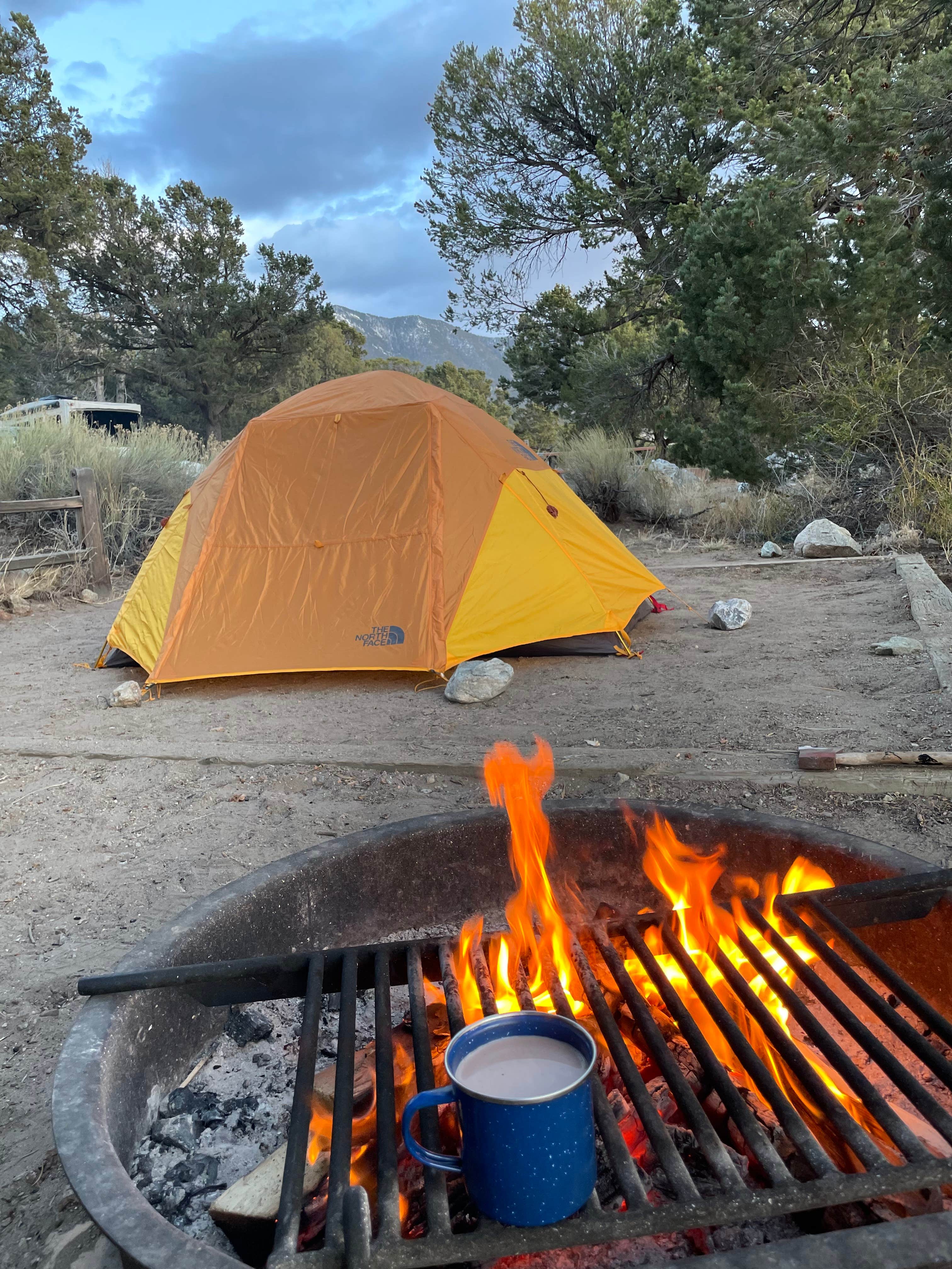 Meagan &.'s photo at Pinon Flats Campground — Great Sand Dunes National Park near Great Sand Dunes National Park & Preserve
