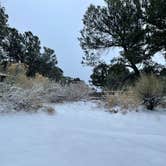 Review photo of Pinon Flats Campground — Great Sand Dunes National Park by Meagan &., May 4, 2023