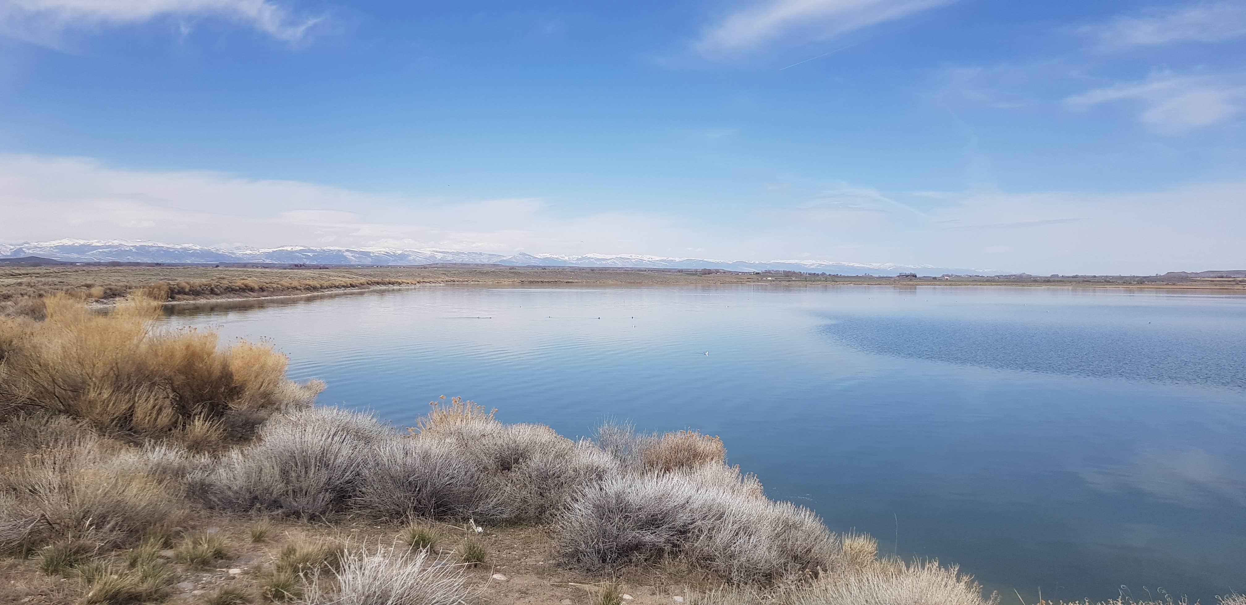 Gregory's photo of a dispersed camping area at Ocean Lake Lindholm near Riverton, WY