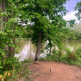 Review photo of Andy Guest/Shenandoah River State Park Campground by David B., May 3, 2023