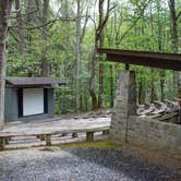 Review photo of Cosby Campground — Great Smoky Mountains National Park by Suzanne O., October 9, 2018