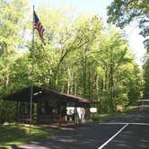 Review photo of Cosby Campground — Great Smoky Mountains National Park by Suzanne O., October 9, 2018