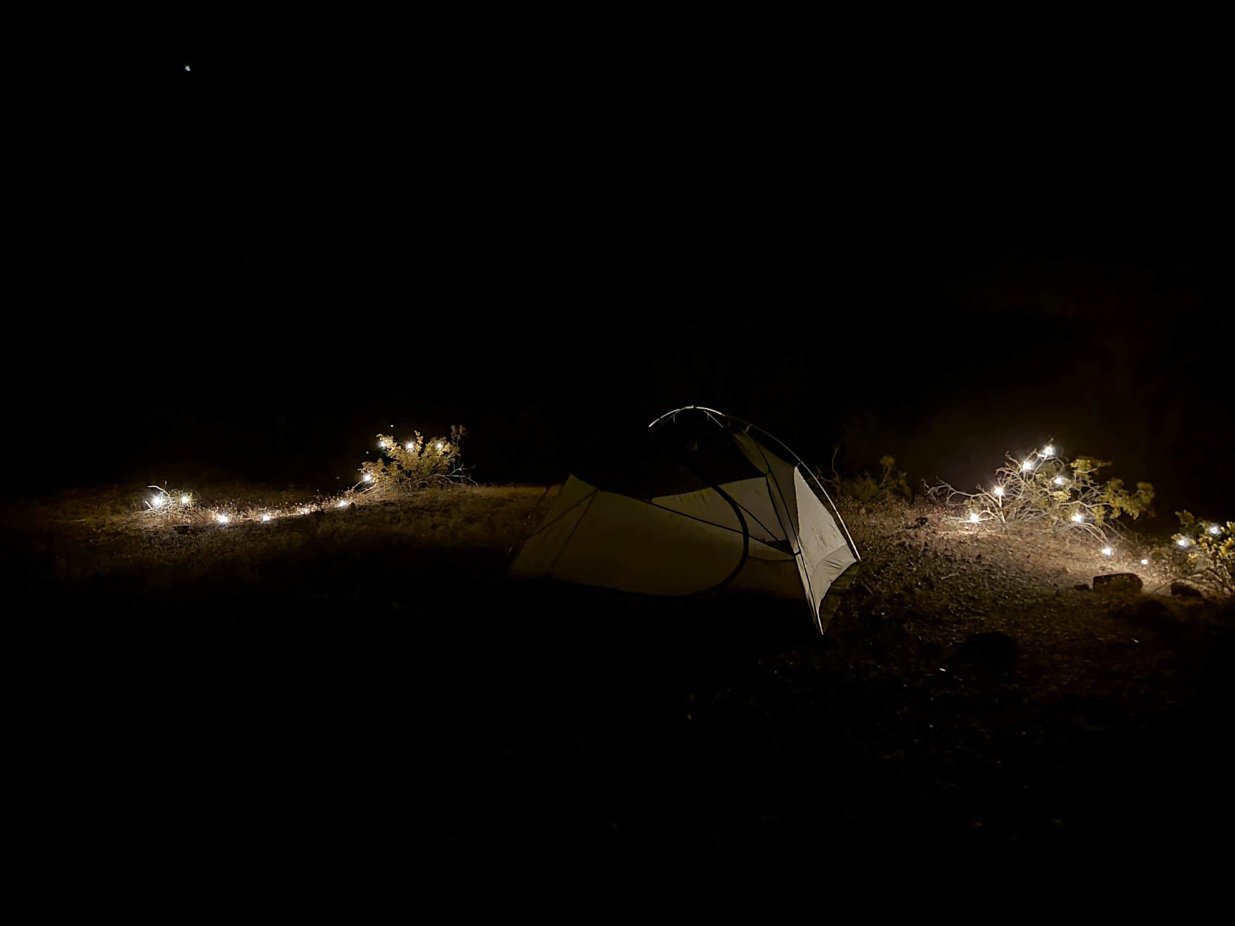 Joshua M.'s photo at Shea Road BLM Dispersed near Salome, AZ