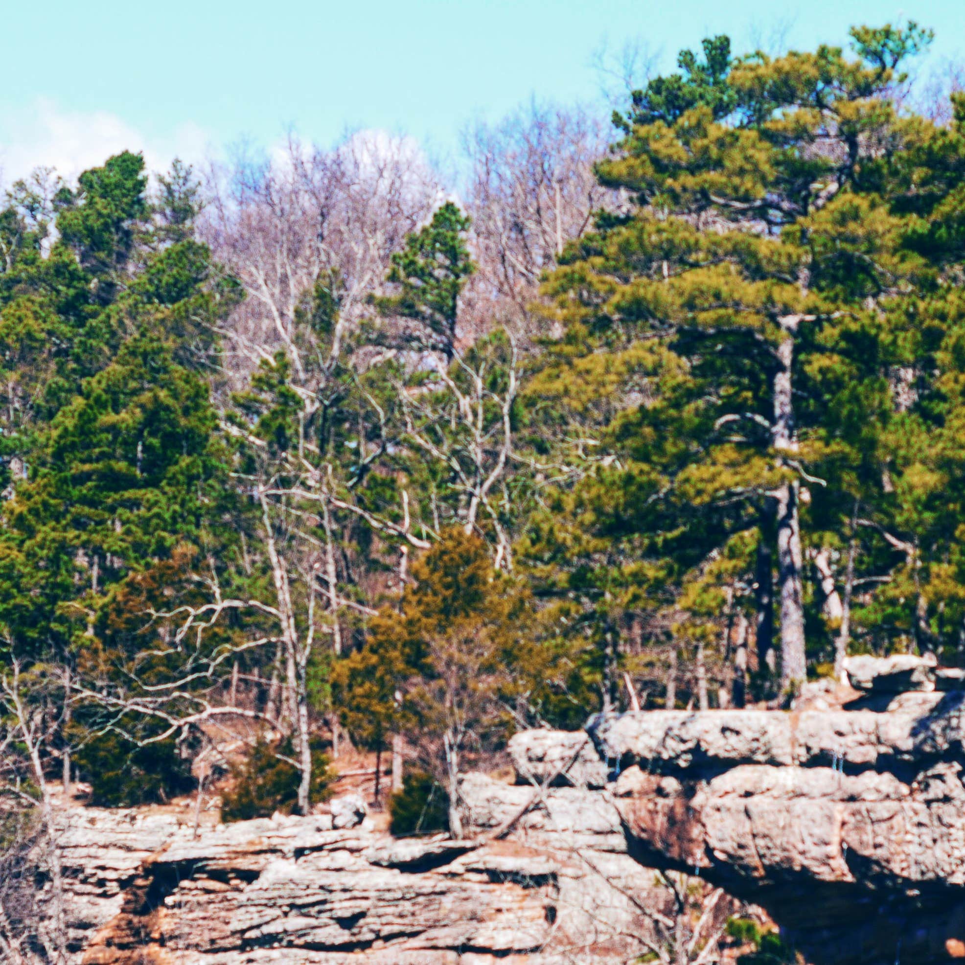 Horseshoe Canyon Ranch Camping The Dyrt