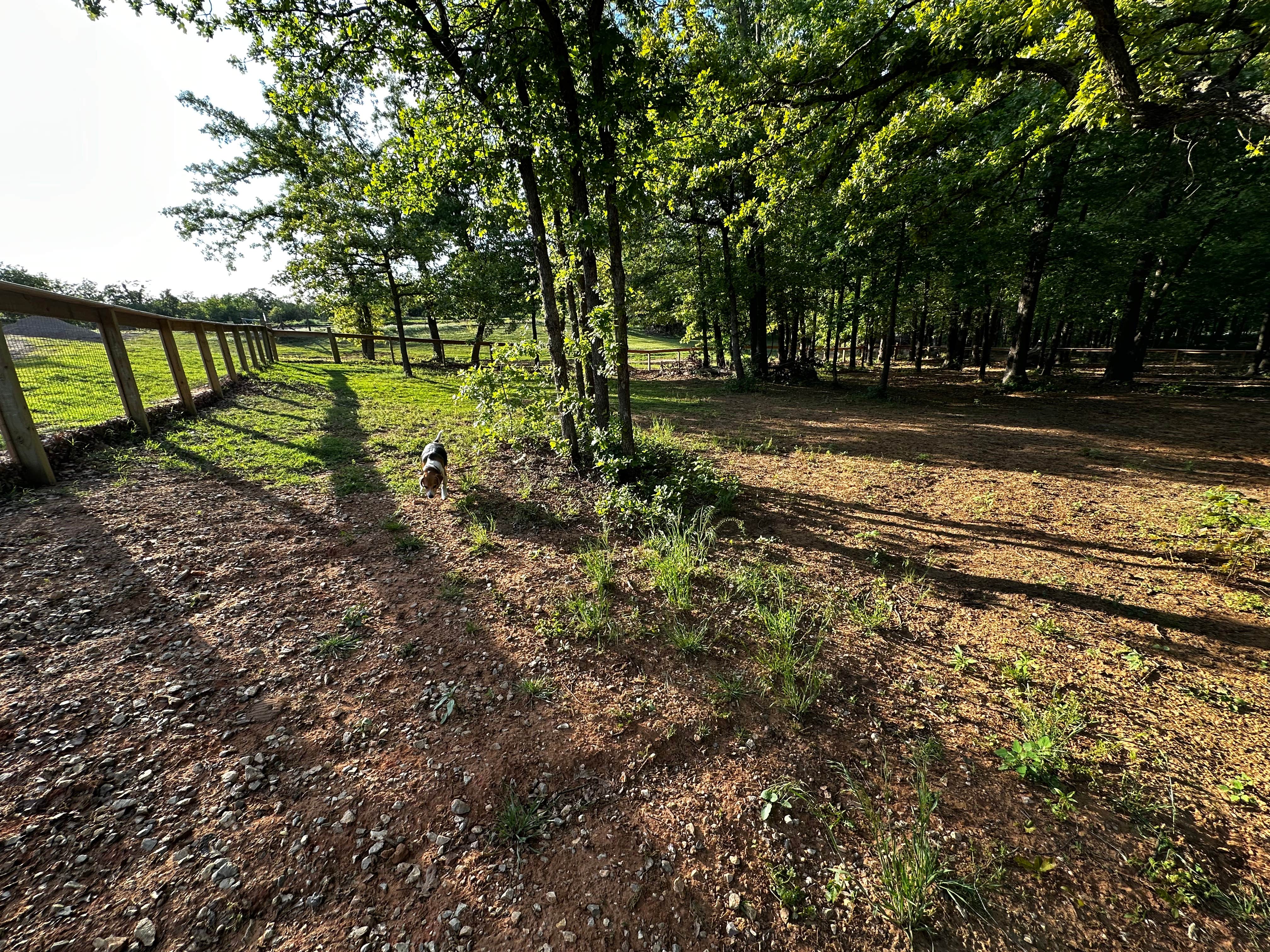 Rachel P.'s photo of camping with pets at Oklahoma City East KOA near Choctaw, OK