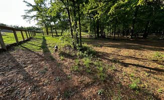 Rachel P.'s photo of camping with pets at Oklahoma City East KOA near Oklahoma City, OK