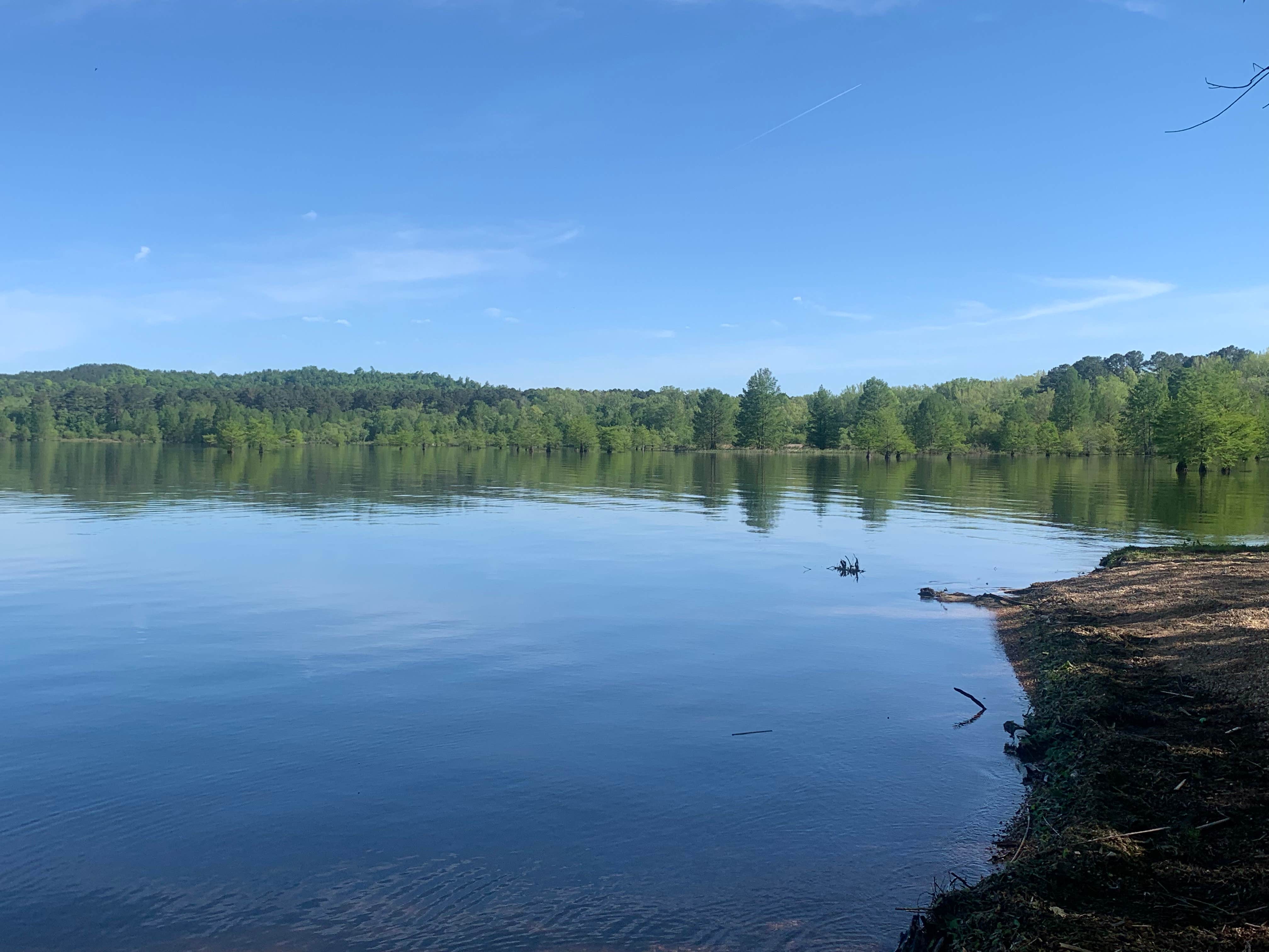 Camper-submitted photo at Second Creek Rec Area near Cherokee, AL
