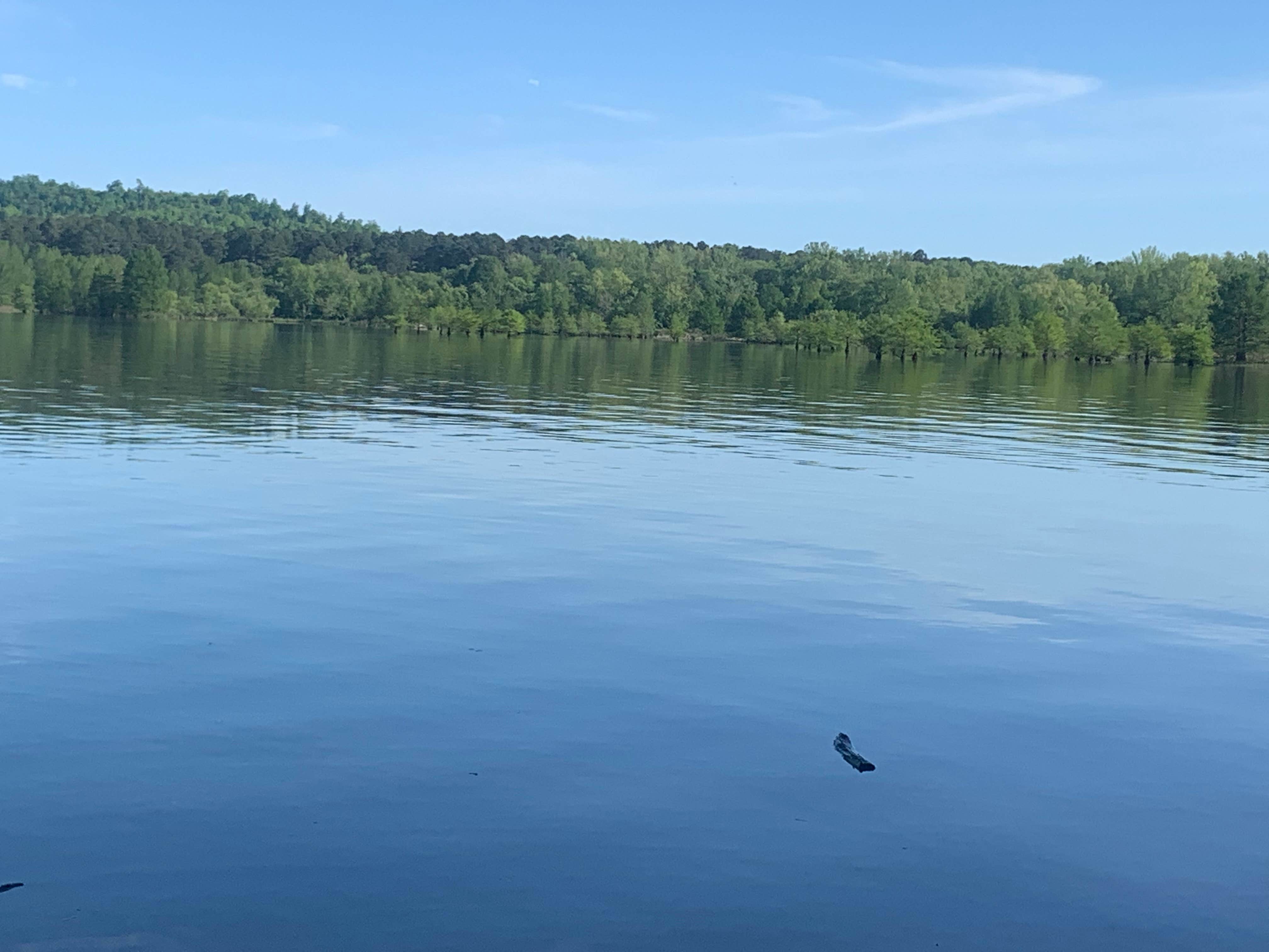Camper-submitted photo at Second Creek Rec Area near Cherokee, AL