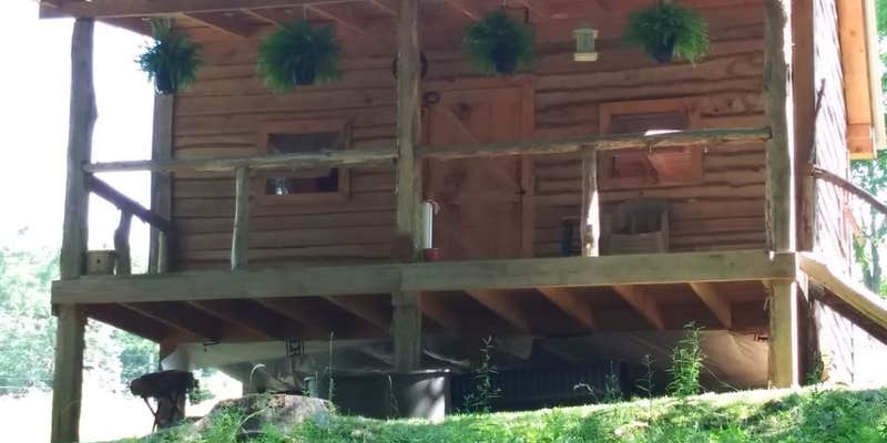 Camper submitted image from Cabin on The Creek