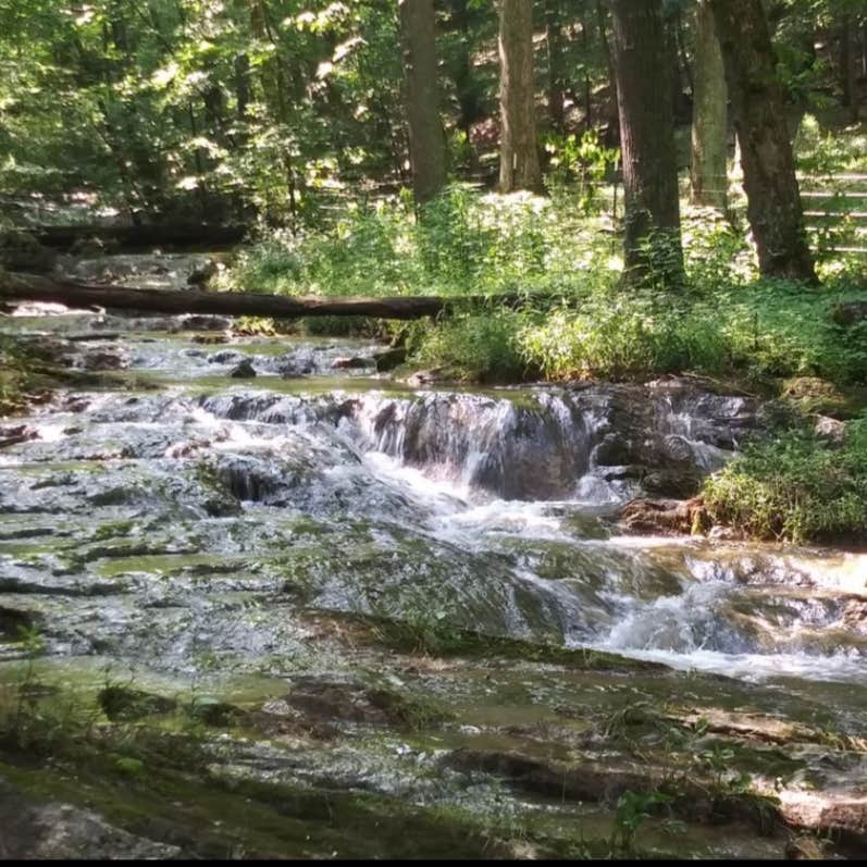 Camper-submitted photo at Cabin on The Creek near Blountville, TN