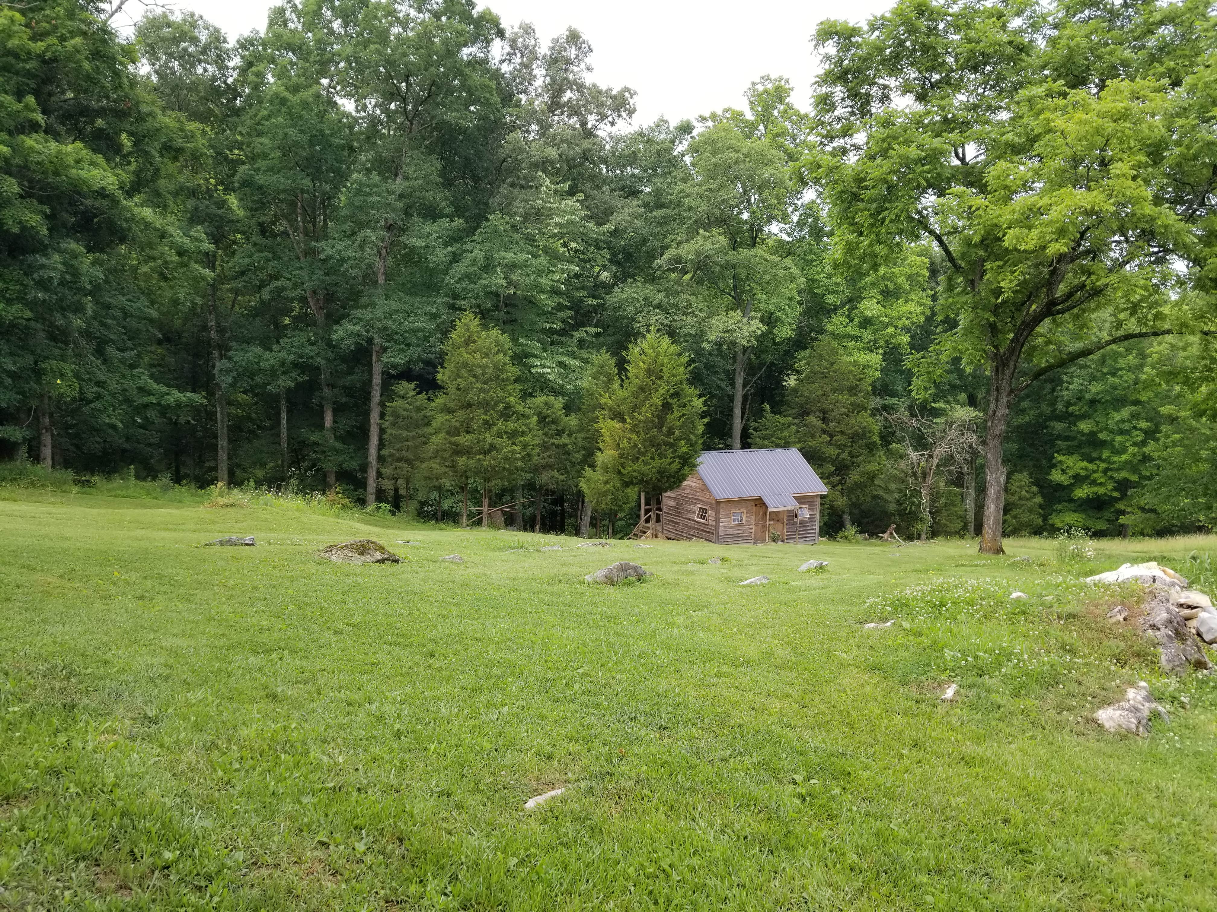Camper-submitted photo at Cabin on The Creek near Blountville, TN