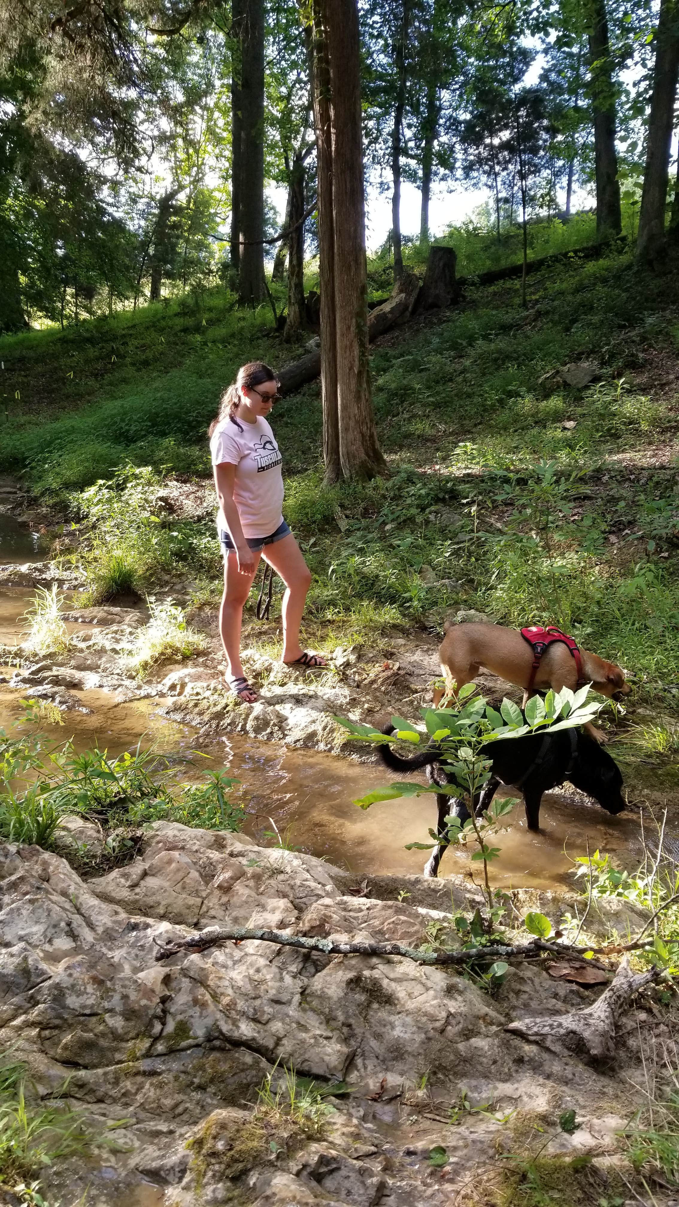 Khristina B.'s photo of camping with pets at Cabin on The Creek near Lynch, KY