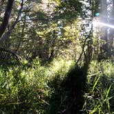 Review photo of Lookout Campground by Joey P., October 9, 2018