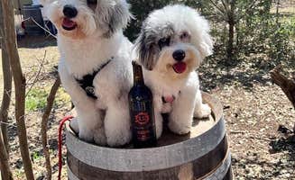 Branch Out Glamping's photo of camping with pets at 12 Fires Winery and Vineyard near Fredericksburg, TX