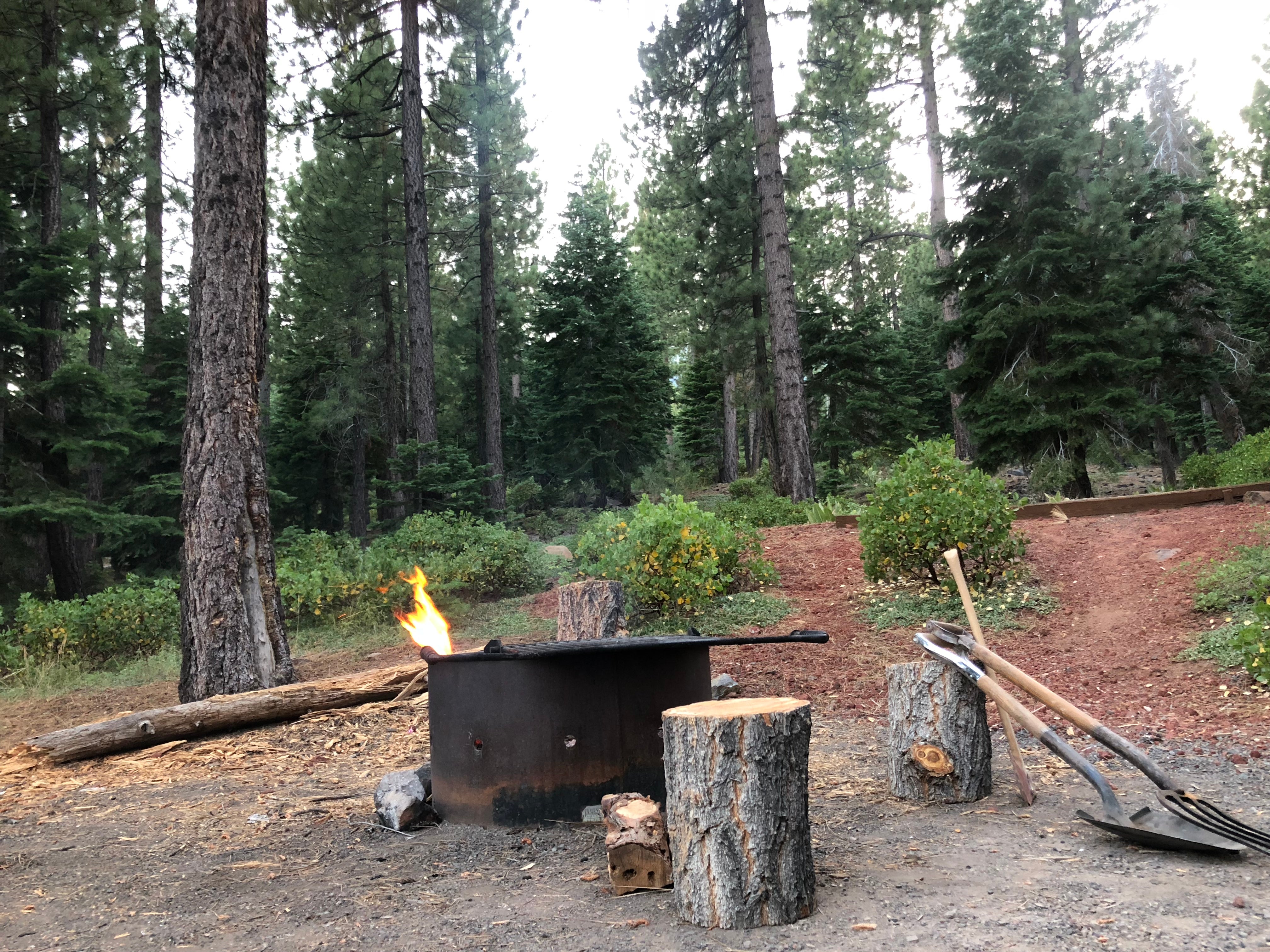 Camper submitted image from Lookout Campground - 5