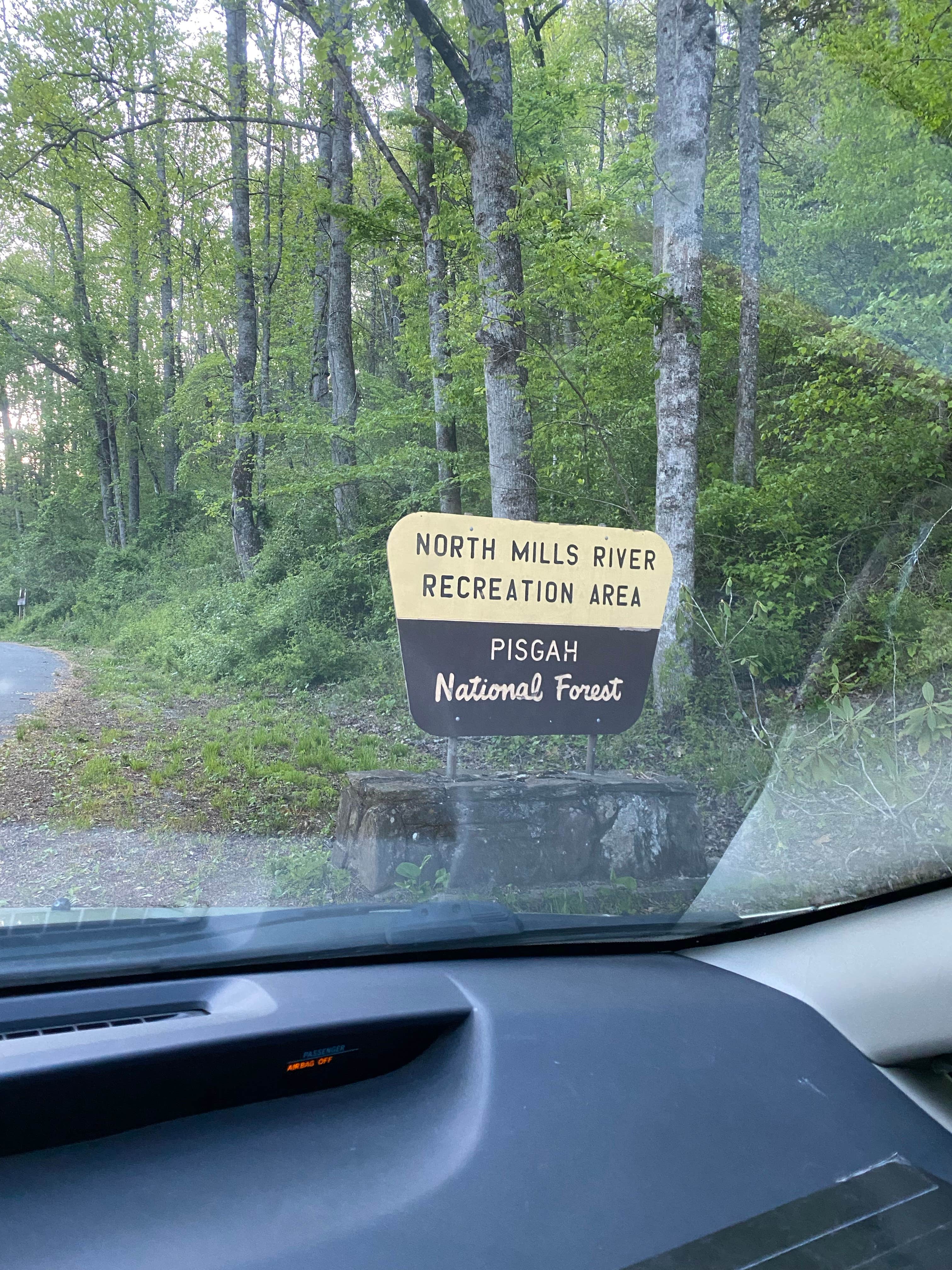 Camper-submitted photo at Mills River Dispersed near Candler, NC