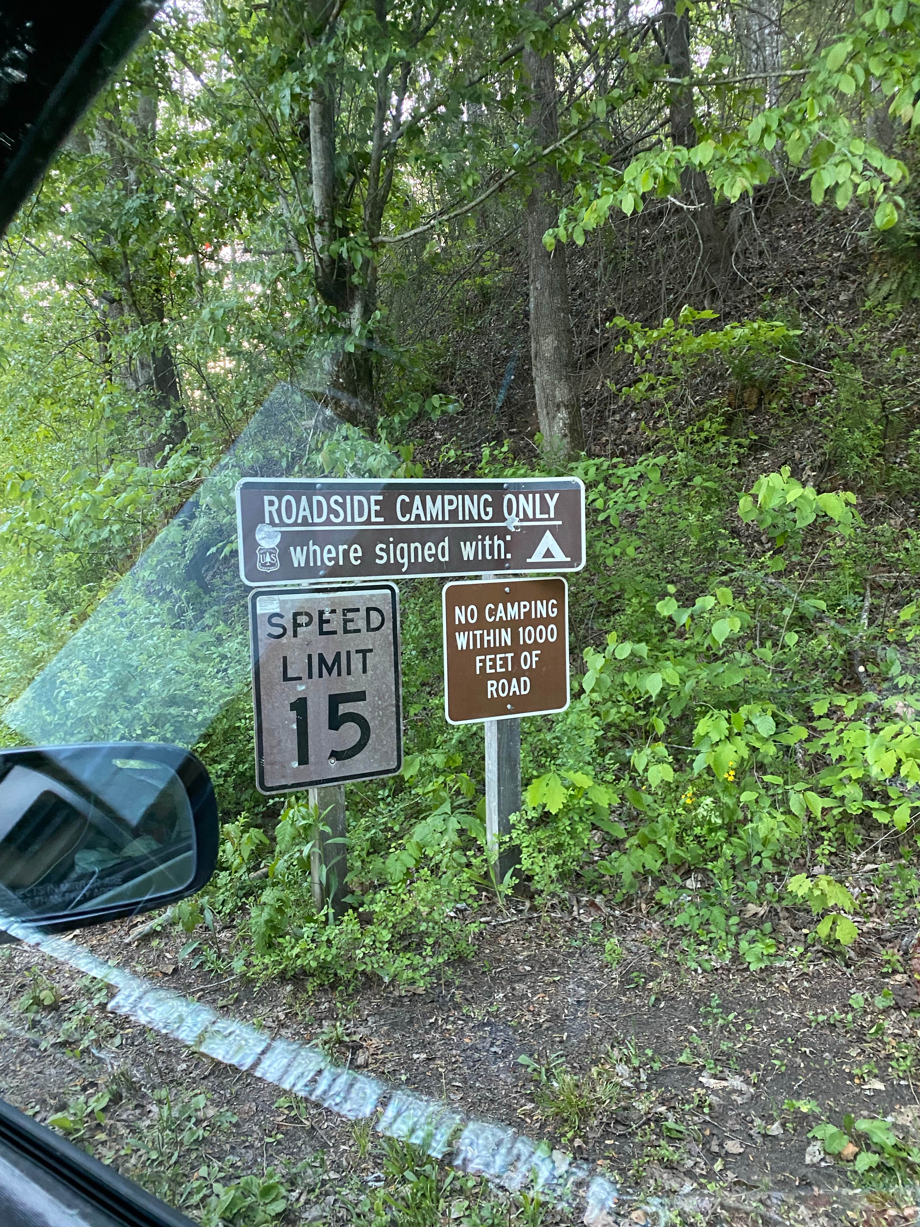 Camper-submitted photo at Mills River Dispersed near Candler, NC