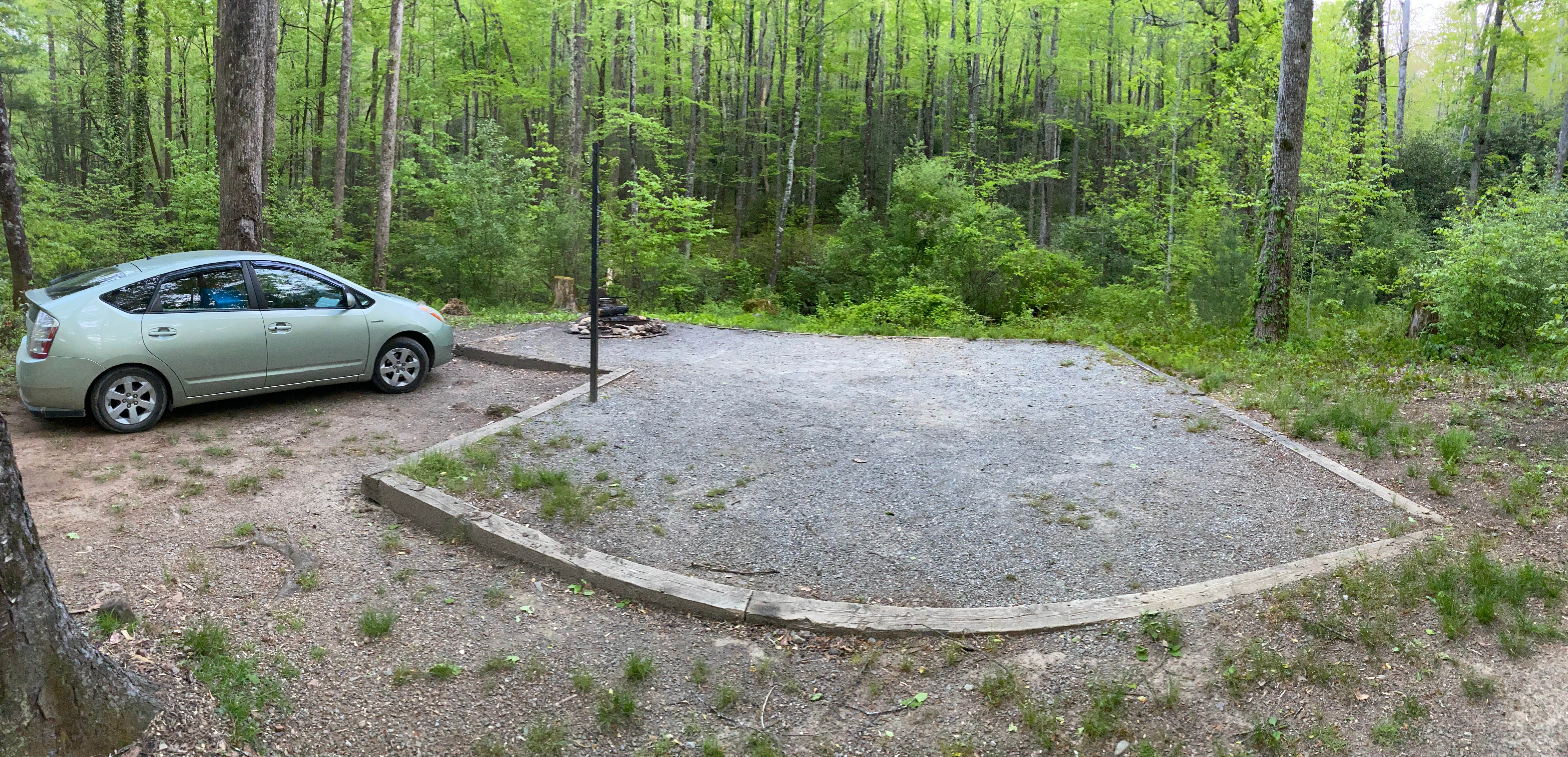 Camper-submitted photo at Mills River Dispersed near Candler, NC