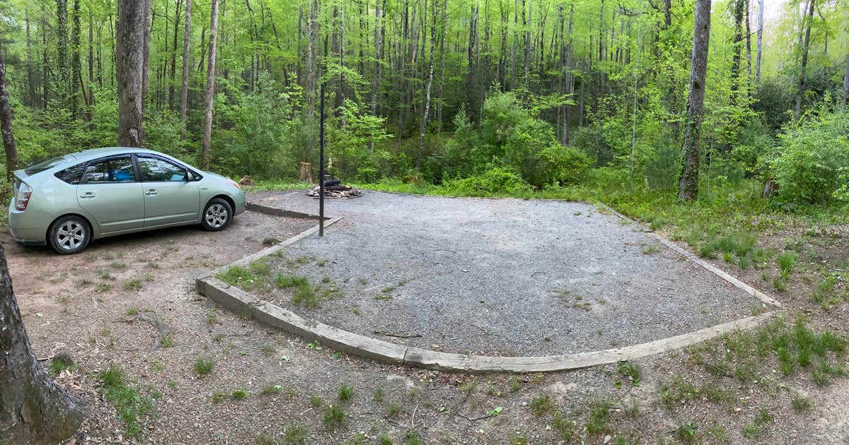 Mills River Dispersed - Main photo