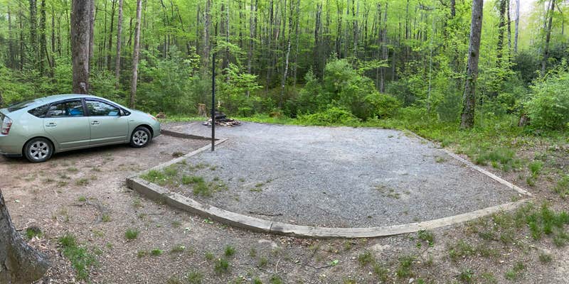 Camper submitted image from Mills River Dispersed