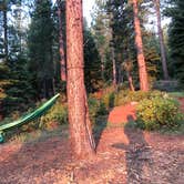 Review photo of Lookout Campground by Joey P., October 9, 2018
