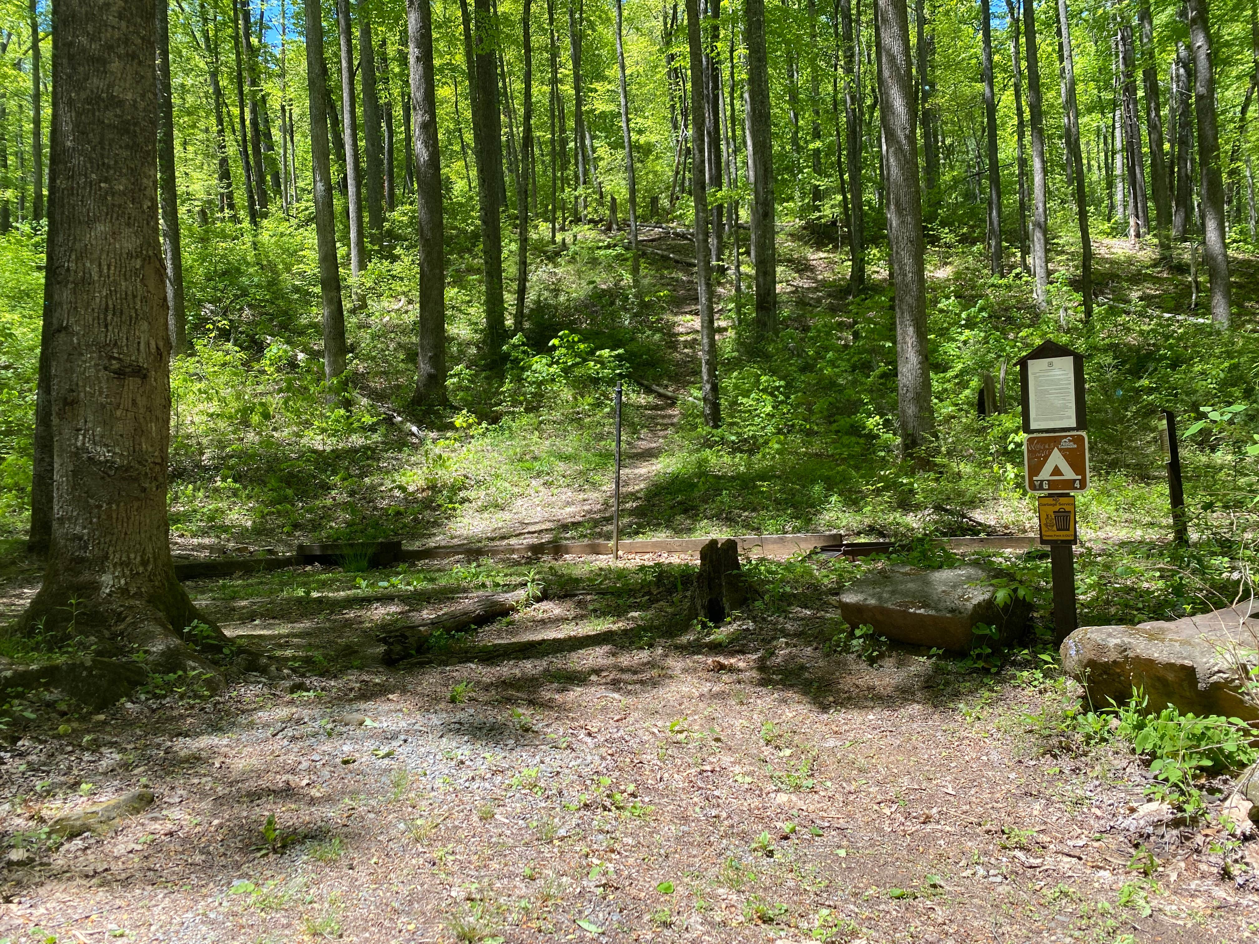 Camper-submitted photo at Mills River Dispersed near Candler, NC
