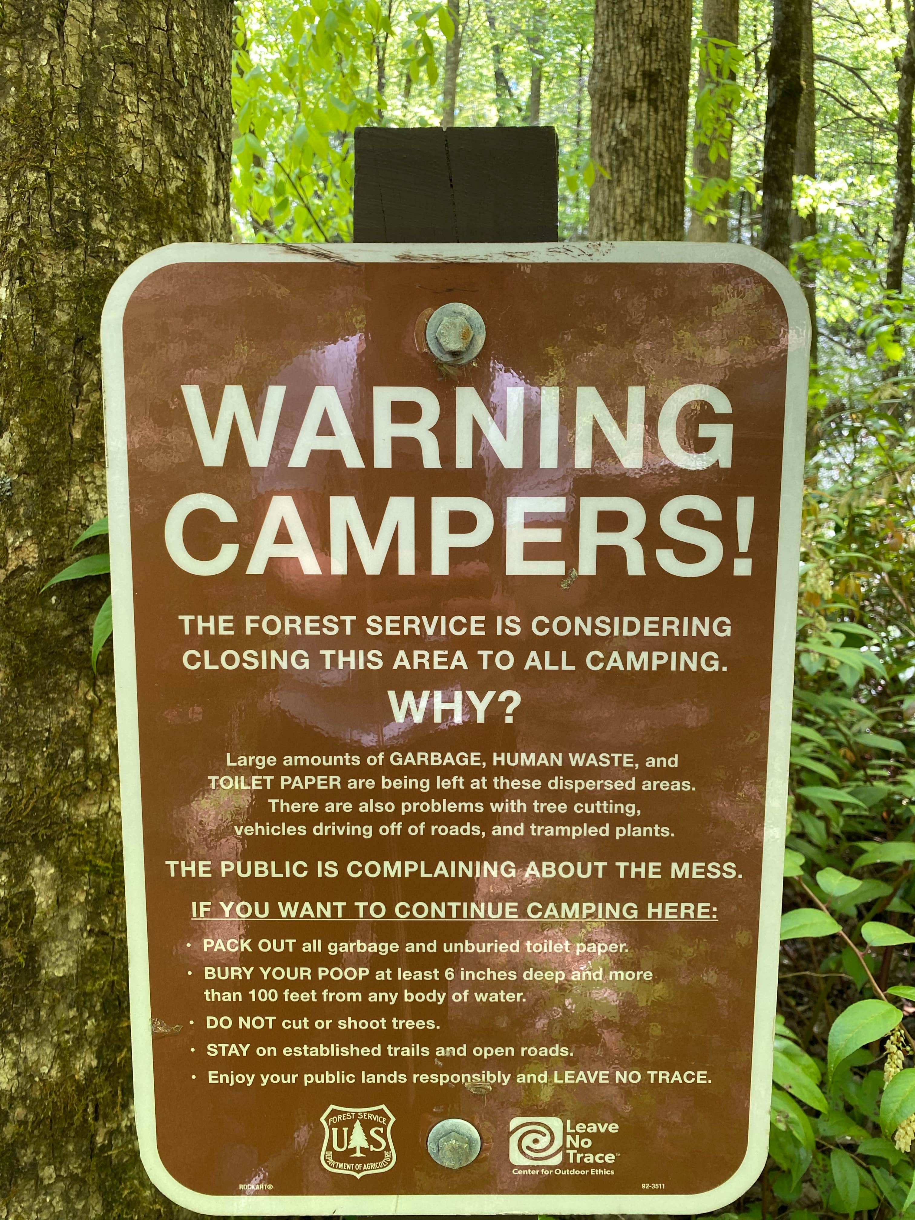 Camper-submitted photo at Mills River Dispersed near Candler, NC