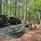 Review photo of Shad Landing Campground by Stuart H., May 5, 2023