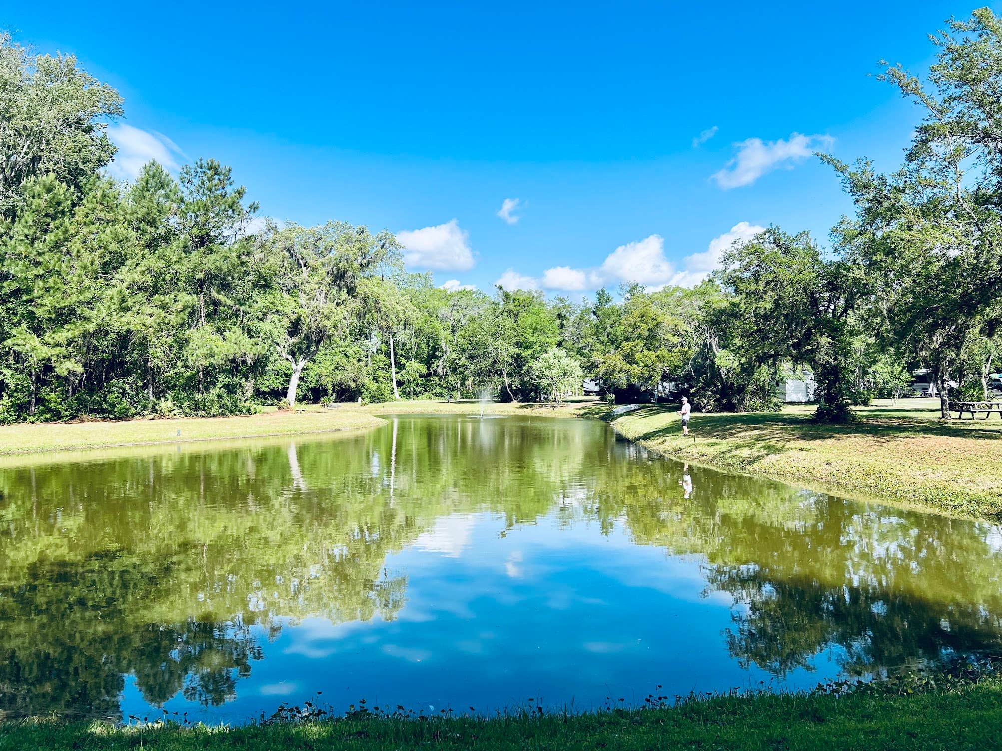 Camper submitted image from A Big Wheel RV Park - 5