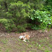 Review photo of Hickory Flats — Tenkiller State Park by Lynzie T., May 5, 2023