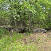 Review photo of Hickory Flats — Tenkiller State Park by Lynzie T., May 5, 2023