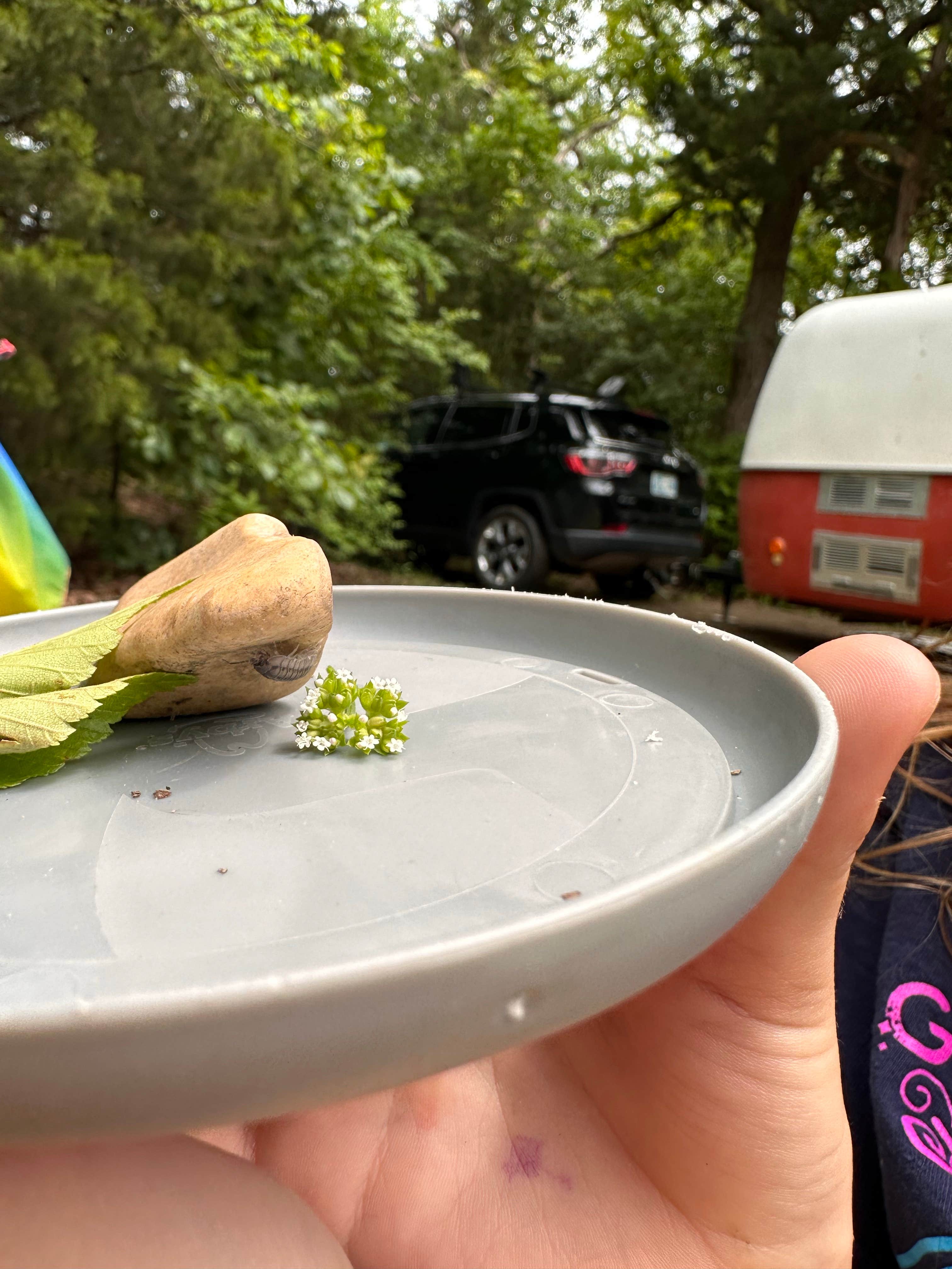 Camper-submitted photo at Hickory Flats — Tenkiller State Park near Barling, AR