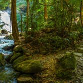 Review photo of Umtanum Campground - Yakima River Canyon by Skylar M., October 9, 2018