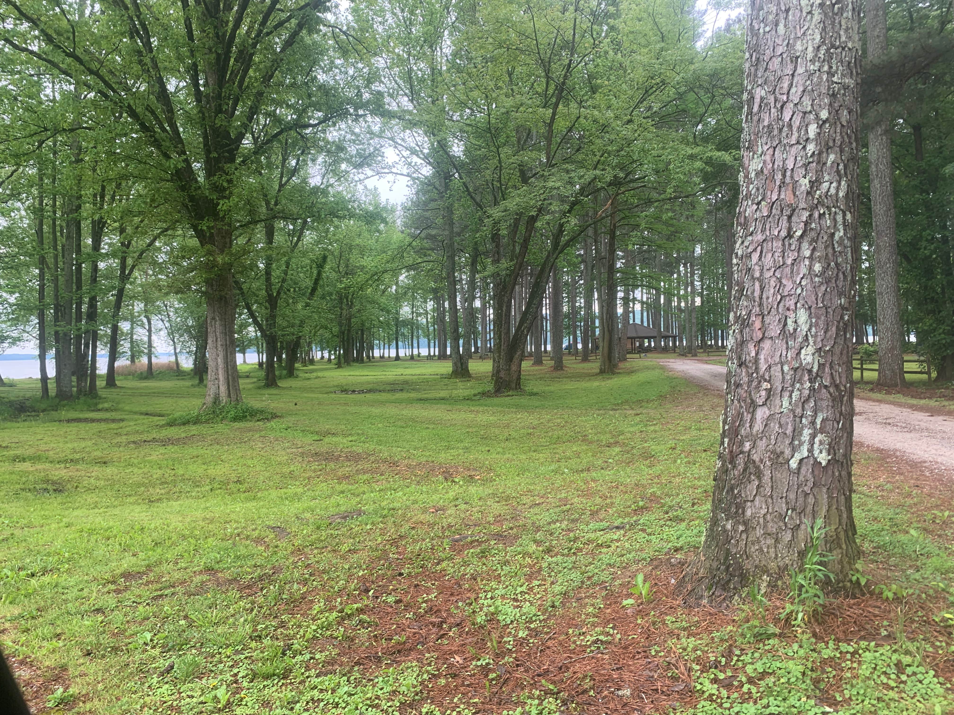 Camper submitted image from Brush Creek Park - 3