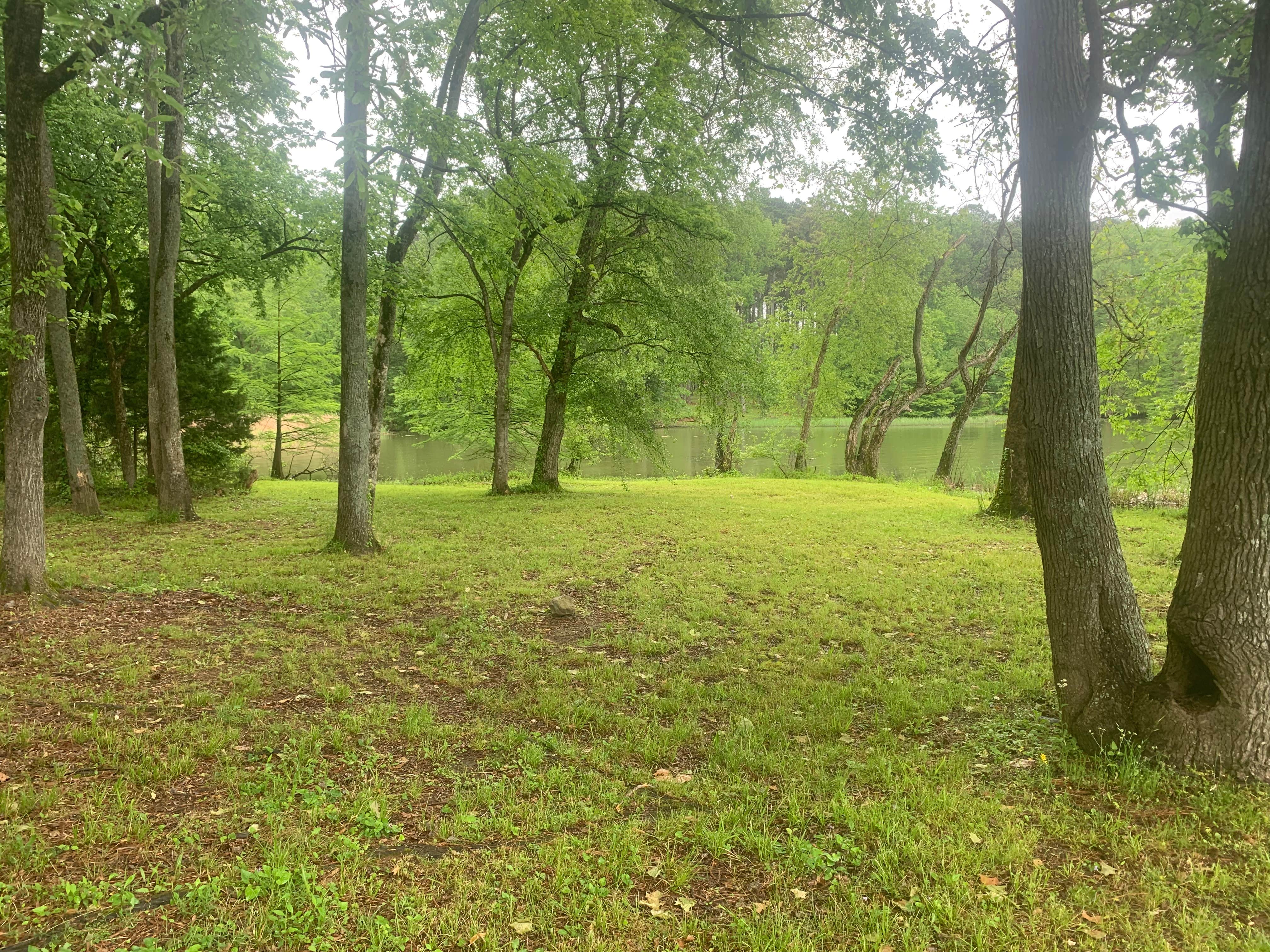 Camper-submitted photo at Brush Creek Park near Rogersville, AL