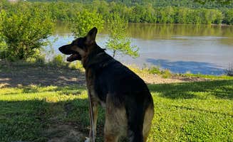 jeff S.'s photo of camping with pets at Sandy Springs Campground near Manchester, OH