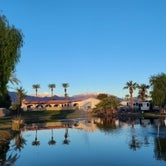 Review photo of Oasis Palms RV Resort by Oasis R., May 6, 2023