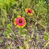 Review photo of McKinney Falls State Park Campground by Kimber B., May 6, 2023