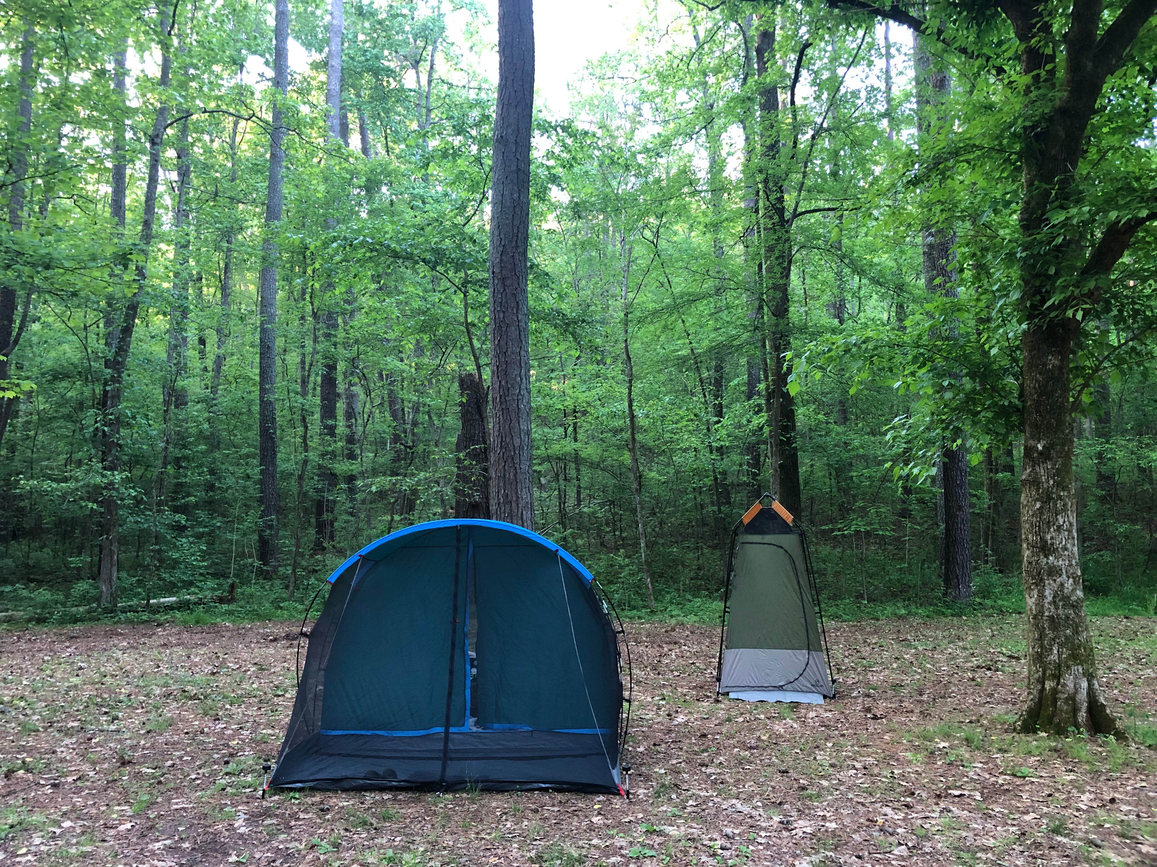 Linda S.'s photo at Rickwood Caverns State Park Campground near Midfield, AL