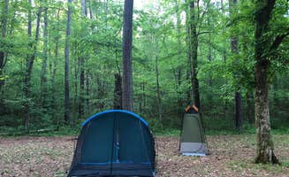 Linda S.'s photo at Rickwood Caverns State Park Campground near Midfield, AL
