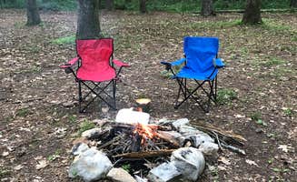 Linda S.'s photo of tent camping at Rickwood Caverns State Park Campground near Steele, AL