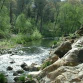 Review photo of Montana Gulch by Skylar M., October 9, 2018