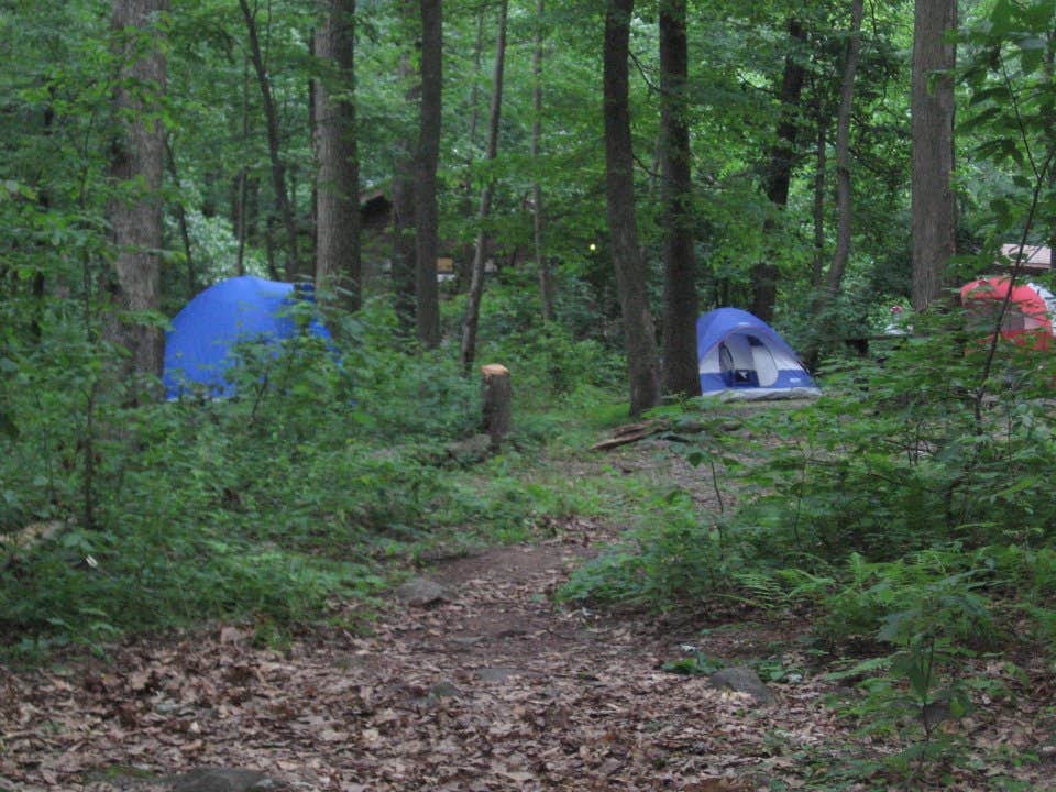Katrina Z.'s photo at French Creek State Park Campground near Birdsboro, PA